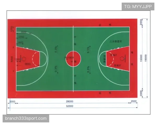 详细解读合理冲撞区规则的具体定义与裁判判罚的适用场景